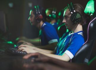 Festival Gamer