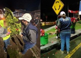 PGN rescata a 14 menores en situación de riesgo en semáforos de Quetzaltenango