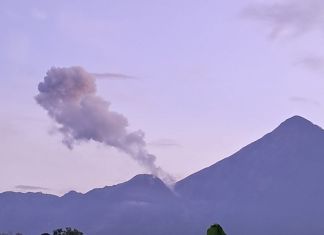 Volcán Santiaguito registra descenso de corrientes piroclásticas y caída de ceniza.