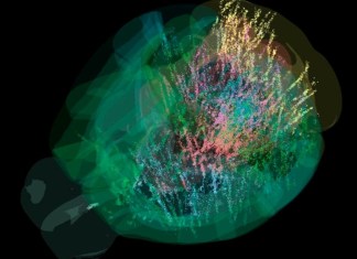 Hemos iluminado cada neurona del cerebro como si fuera un árbol de navidad". Foto: La Hora: EFE