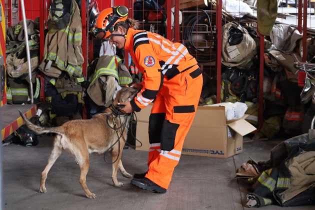 Binomios caninos de Bomberos Voluntarios reciben certificación internacional en búsquedas de víctimas extraviadas