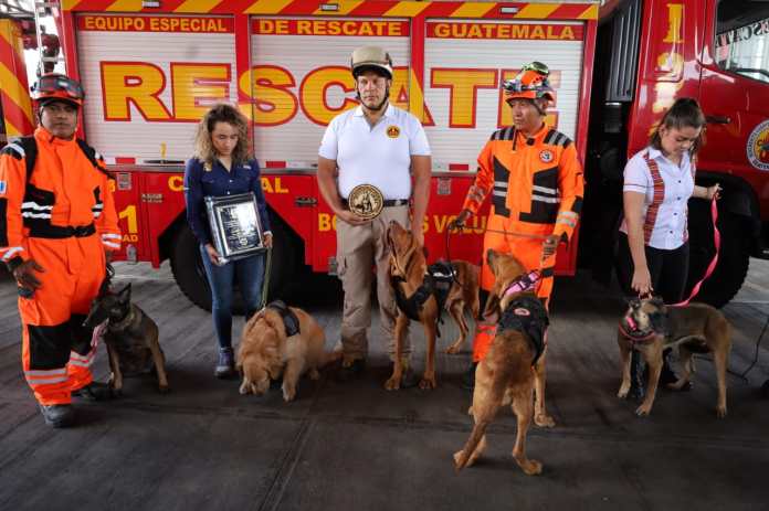 Binomios caninos de Bomberos Voluntarios reciben certificación internacional en búsquedas de víctimas extraviadas
