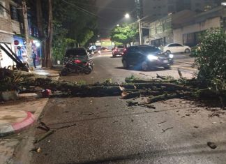 Varios incidentes afectan tránsito en distintos puntos de la capital Incidentes afectan el tránsito en la Ciudad de Guatemala.