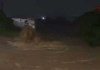 Inundaciones en Palín, Escuintla por desbordamiento del río Michatoya.