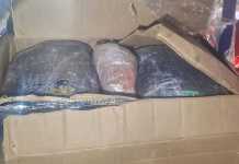 Capturan a hombre con 25 libras de marihuana en operativo en Chimaltenango.