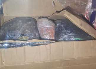 Capturan a hombre con 25 libras de marihuana en operativo en Chimaltenango.