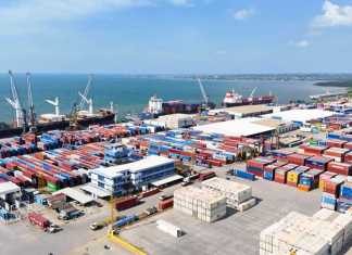 Cámara de Comercio denuncia lentitud en puerto Santo Tomás de Castilla y pide intervenir la terminal
