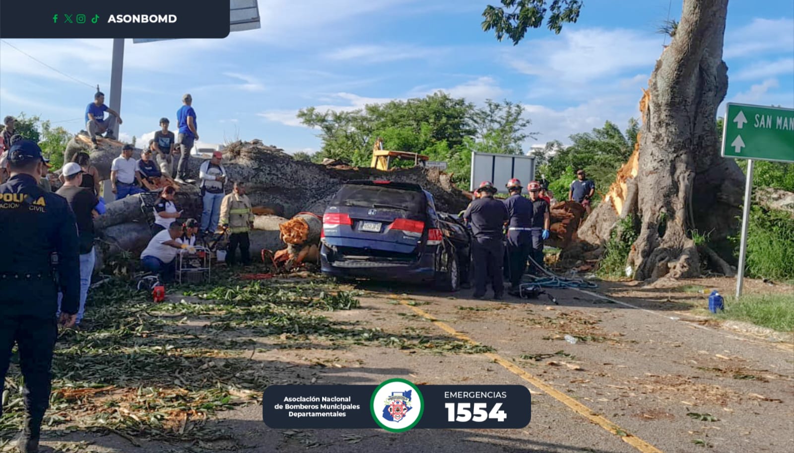 Video: árbol cae sobre vehículo dejando 4 fallecidos y 4 heridos en San Miguel Chaparrón, Jutiapa
