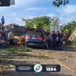 Árbol cae sobre vehículo. Foto La Hora: ASONBOMD