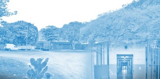 Arte Renovacion II Peten