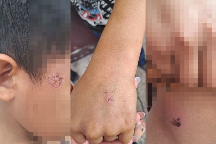 PGN rescata a tres menores presuntamente maltratados por su hermana con lazos y cables. Foto La Hora: PGN.