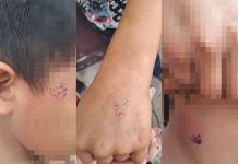 PGN rescata a tres menores presuntamente maltratados por su hermana con lazos y cables. Foto La Hora: PGN.