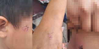 PGN rescata a tres menores presuntamente maltratados por su hermana con lazos y cables PGN rescata a tres menores presuntamente maltratados por su hermana con lazos y cables. Foto La Hora: PGN.