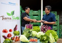 Asunción Export: empresa que creció junto a «Tierra Fértil» de Walmart Asunción Export y Walmart, juntos en "Tierra Fértil" para el desarrollo agrícola. Foto: Cortesía Walmart México y Centroamérica