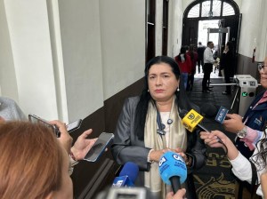 Alfaro califica de "embestida" allanamientos del MP en TSE y viviendas de colaboradores