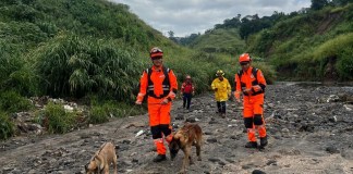 Por búsqueda de persona desaparecida en San Miguel Petapa, Bomberos Voluntarios se hacen presentes con la sección canina. Foto La Hora: CBV