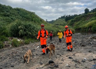 Por búsqueda de persona desaparecida en San Miguel Petapa, Bomberos Voluntarios se hacen presentes con la sección canina. Foto La Hora: CBV