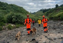 Continúa búsqueda de persona desaparecida en San Miguel Petapa tras desprendimiento Por búsqueda de persona desaparecida en San Miguel Petapa, Bomberos Voluntarios se hacen presentes con la sección canina. Foto La Hora: CBV
