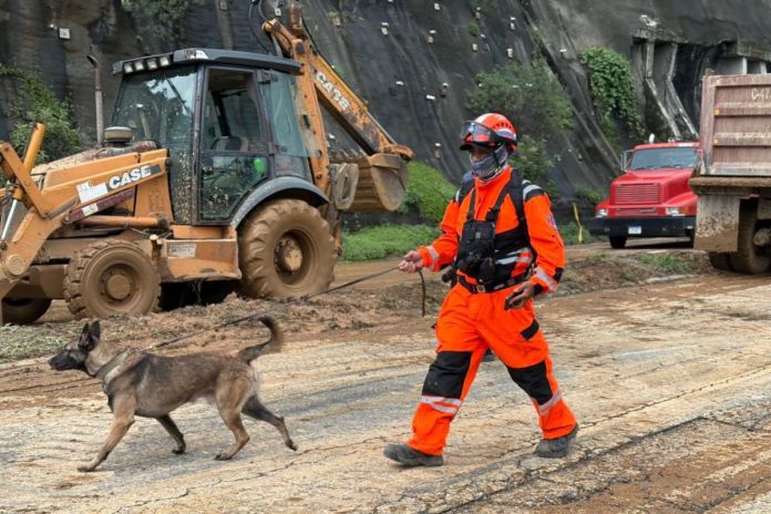 Busqueda de personas desaparecida en derrumbe de Carretera a El Salvador Sección canina de rescate en la búsqueda de la persona desaparecida tras el derrumbe registrado en carretera a El Salvador. Foto La Hora: PNC