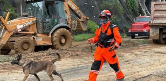 Sección canina de rescate en la búsqueda de la persona desaparecida tras el derrumbe registrado en carretera a El Salvador. Foto La Hora: PNC