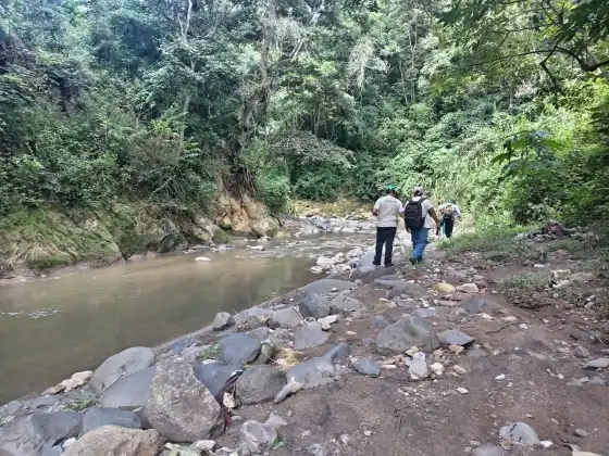 Búsqueda del Jaguar Melánico. Foto La Hora: Conap