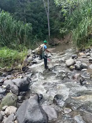 Búsqueda del Jaguar Melánico. Foto La Hora: Conap