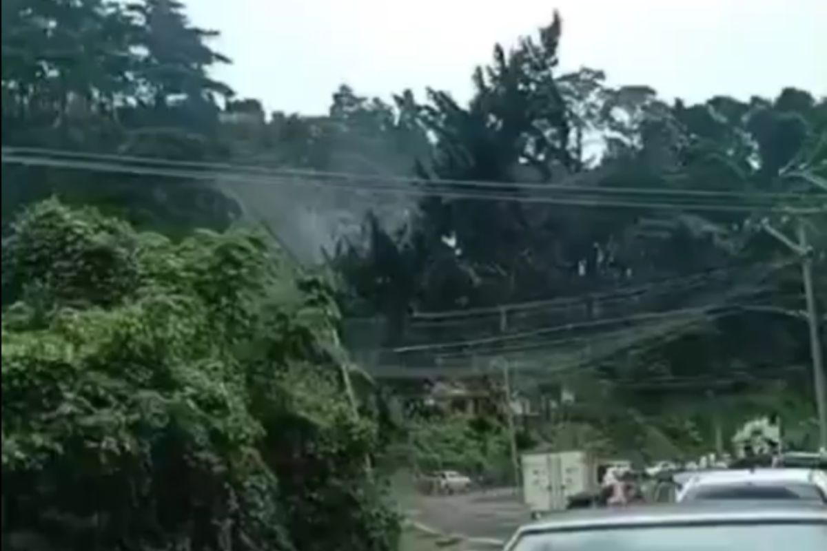 Video: Un tercer árbol cae y daña cables de alta tensión mientras realizaban trabajos de limpieza en San José Pinula