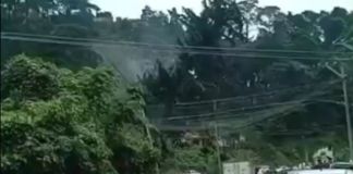 Árbol cayendo en San Jose Pinula. Foto La Hora: Captura de pantalla