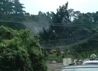 Árbol cayendo en San Jose Pinula. Foto La Hora: Captura de pantalla