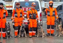 Derrumbe en carretera a El Salvador: Unidad canina de CVB localiza posibles ubicaciones del guardia desaparecido Unidad canina de los Bomberos Voluntarios continúan con las labores de búsqueda de un guardia desaparecido tras el derrumbe en el km. 24 de carretera a El Salvador. Foto La Hora: CVB.