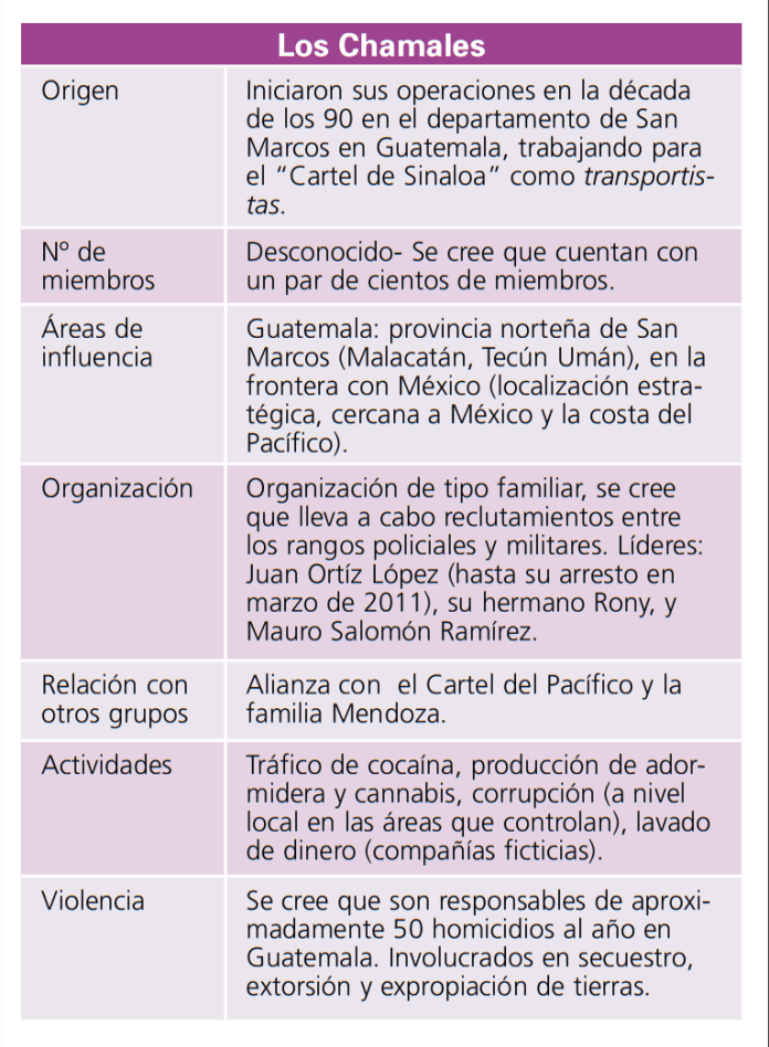 Informe UNODC