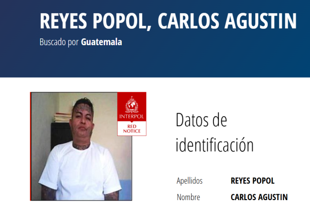 interpol reos fugados
