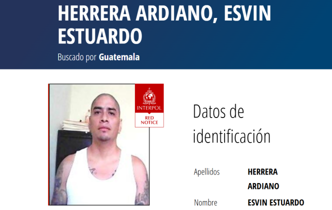 interpol reos fugados