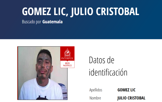 interpol reos fugados