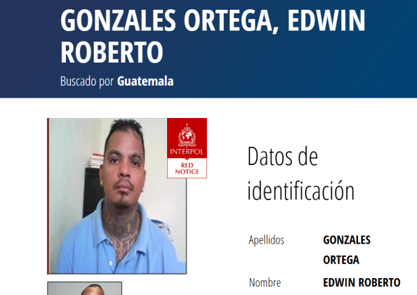 interpol reos fugados