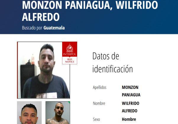 interpol reos fugados