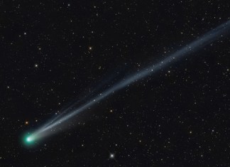 Imagen de la representación de la luz emitida por el cometa Lemmon. Foto La Hora: AP
