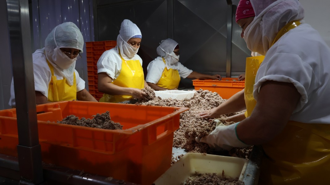 Mujeres en planta de procesamiento de atún de IACASA, Escuintla, Guatemala. Foto: Cortesía de IACASA.