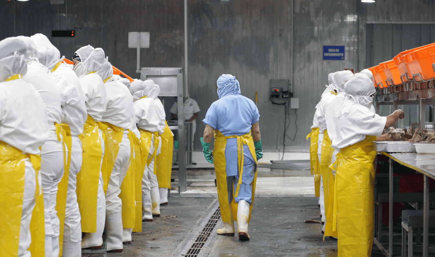  Planta de procesamiento de atún de IACASA. Escuintla, Guatemala. Foto: Cortesía de IACASA 2025.