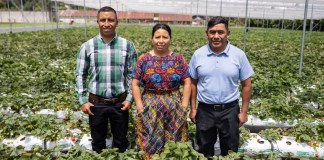 Fundadores y representantes de Distribuidora y Servicios Chumil. Foto: Cortesía Walmart México y Centroamérica.