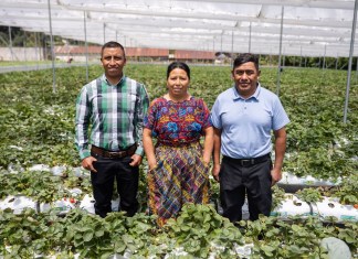 Fundadores y representantes de Distribuidora y Servicios Chumil. Foto: Cortesía Walmart México y Centroamérica.