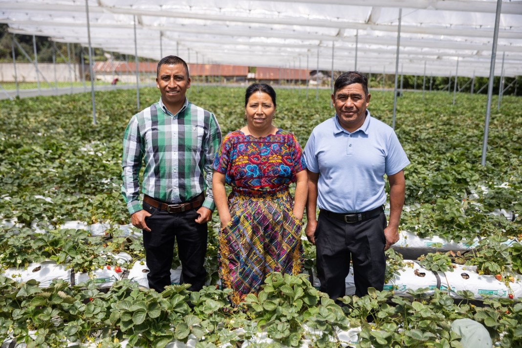 Distribuidora y Servicios Chumil No.1 Fundadores y representantes de Distribuidora y Servicios Chumil. Foto: Cortesía Walmart México y Centroamérica.