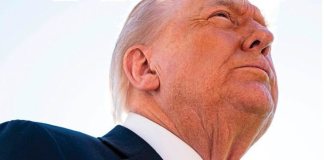 Donald Trump Time