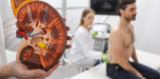 Las dos Gemelas: Enfermedad renal crónica no tradicional y enfermedad crónica tradicional Foto: La Hora/ Envato