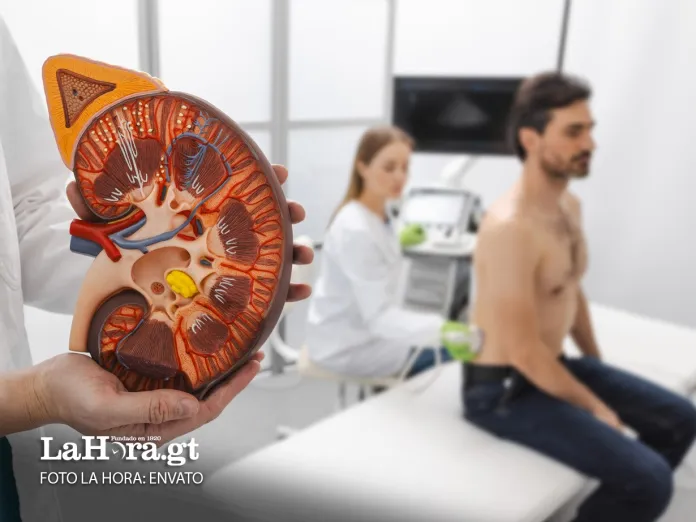 Enfermedad renal Las dos Gemelas: Enfermedad renal crónica no tradicional y enfermedad crónica tradicional Foto: La Hora/ Envato