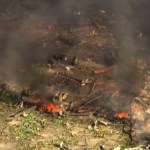 Una explosión en Tennessee ha generado el fallecimiento de varias personas y 19 siguen sin aparecer.