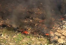 Detonaciones en planta de explosivos en Tennessee deja varios fallecidos y 19 desaparecidos Una explosión en Tennessee ha generado el fallecimiento de varias personas y 19 siguen sin aparecer.