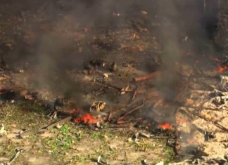 Detonaciones en planta de explosivos en Tennessee deja varios fallecidos y 19 desaparecidos Una explosión en Tennessee ha generado el fallecimiento de varias personas y 19 siguen sin aparecer.