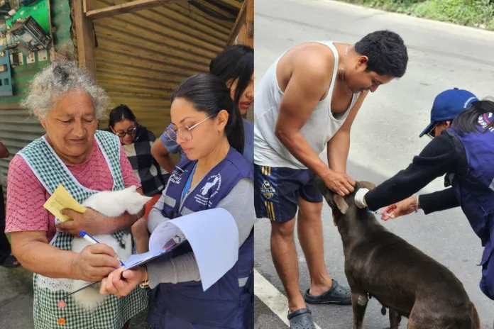 Jornada de vacunacion para mascotas Mascotas vacunadas contra la rabia en jornada de vacunación gratuita. Foto La Hora: MSPAS