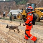Bomberos Voluntarios en la búsqueda de una persona desaparecida por derrumbe. Foto La Hora: Cuerpo de Bomberos Voluntarios